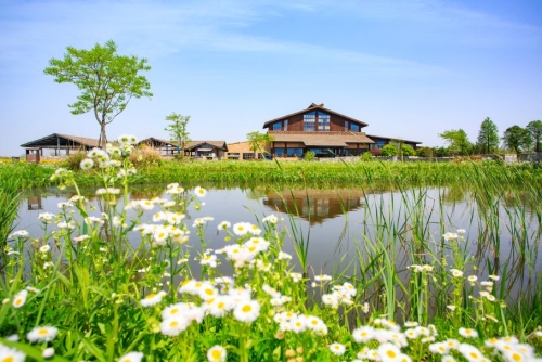 杭州钱塘大湾区湿地公园12大景观抢先看